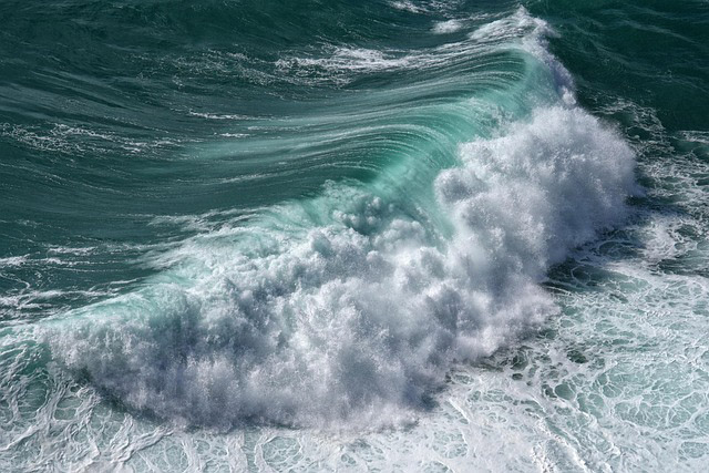Wasser