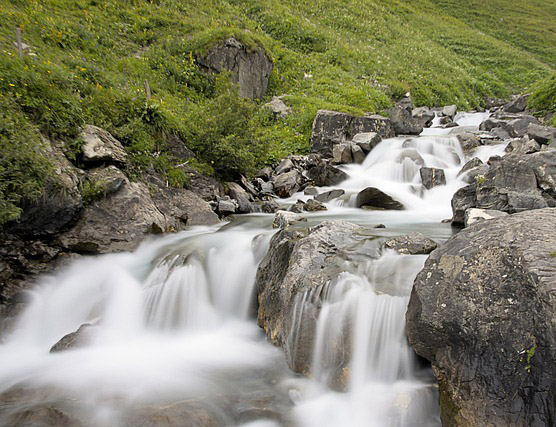 Wasser